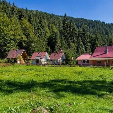 Cabana Valea Stanciului Rachitele Exteriör bild