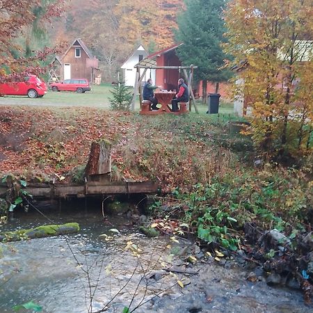 Cabana Valea Stanciului Rachitele Exteriör bild