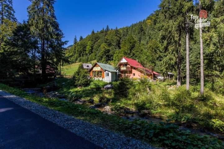 Cabana Valea Stanciului Rachitele Exteriör bild