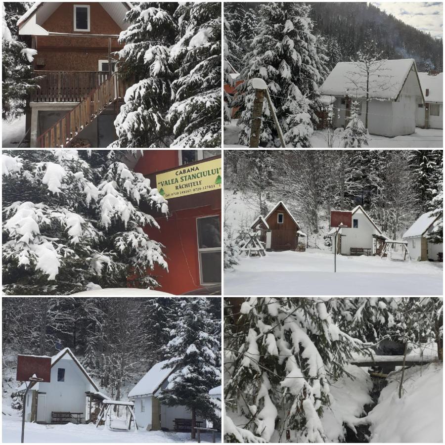 Cabana Valea Stanciului Rachitele Exteriör bild
