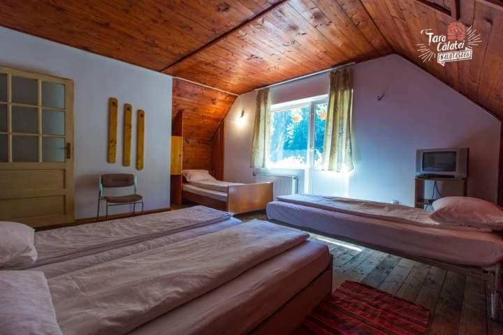 Cabana Valea Stanciului Rachitele Exteriör bild