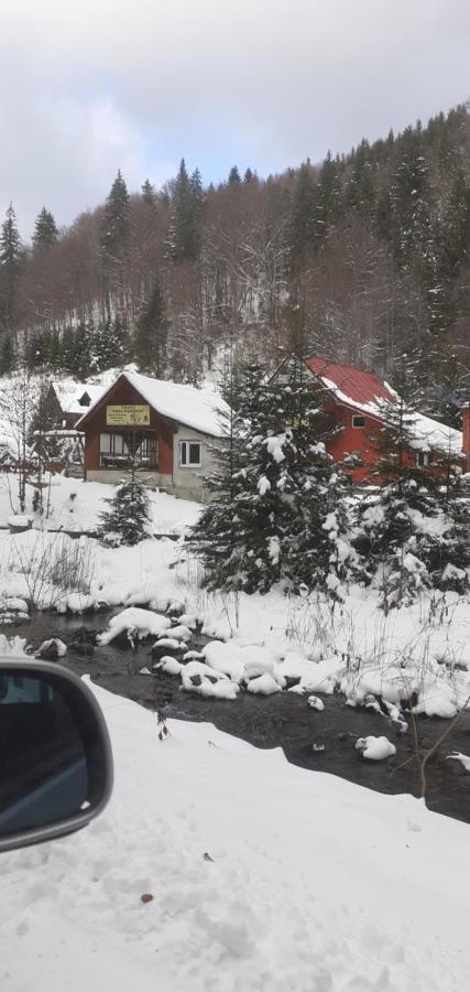 Cabana Valea Stanciului Rachitele Exteriör bild
