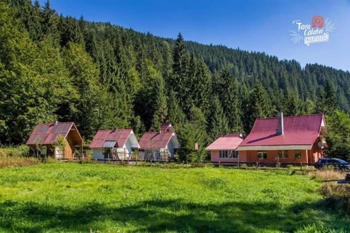 Cabana Valea Stanciului Rachitele Exteriör bild