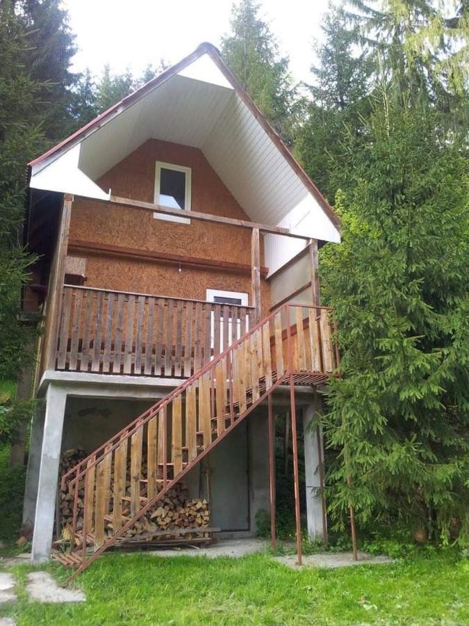 Cabana Valea Stanciului Rachitele Exteriör bild