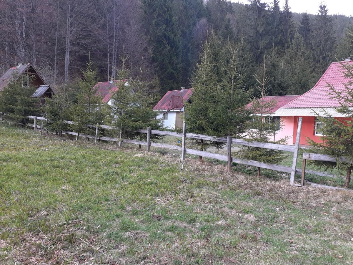 Cabana Valea Stanciului Rachitele Exteriör bild