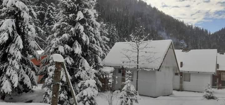 Cabana Valea Stanciului Rachitele Exteriör bild