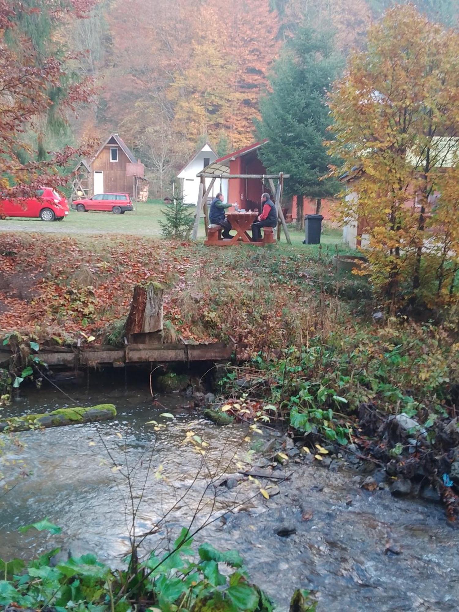 Cabana Valea Stanciului Rachitele Exteriör bild