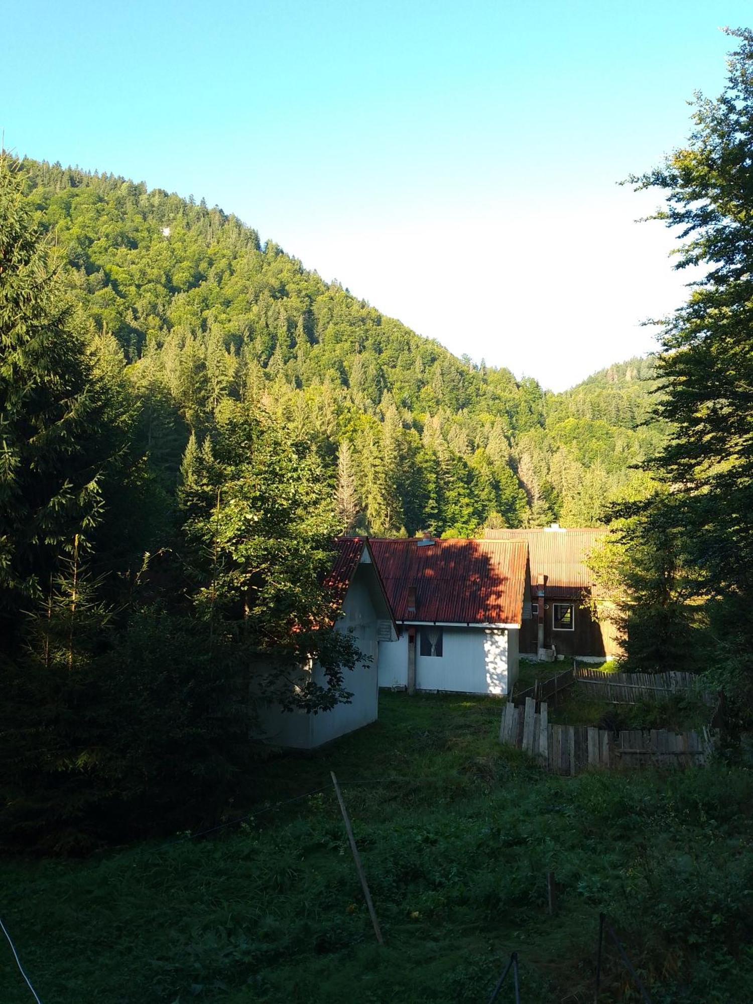 Cabana Valea Stanciului Rachitele Exteriör bild