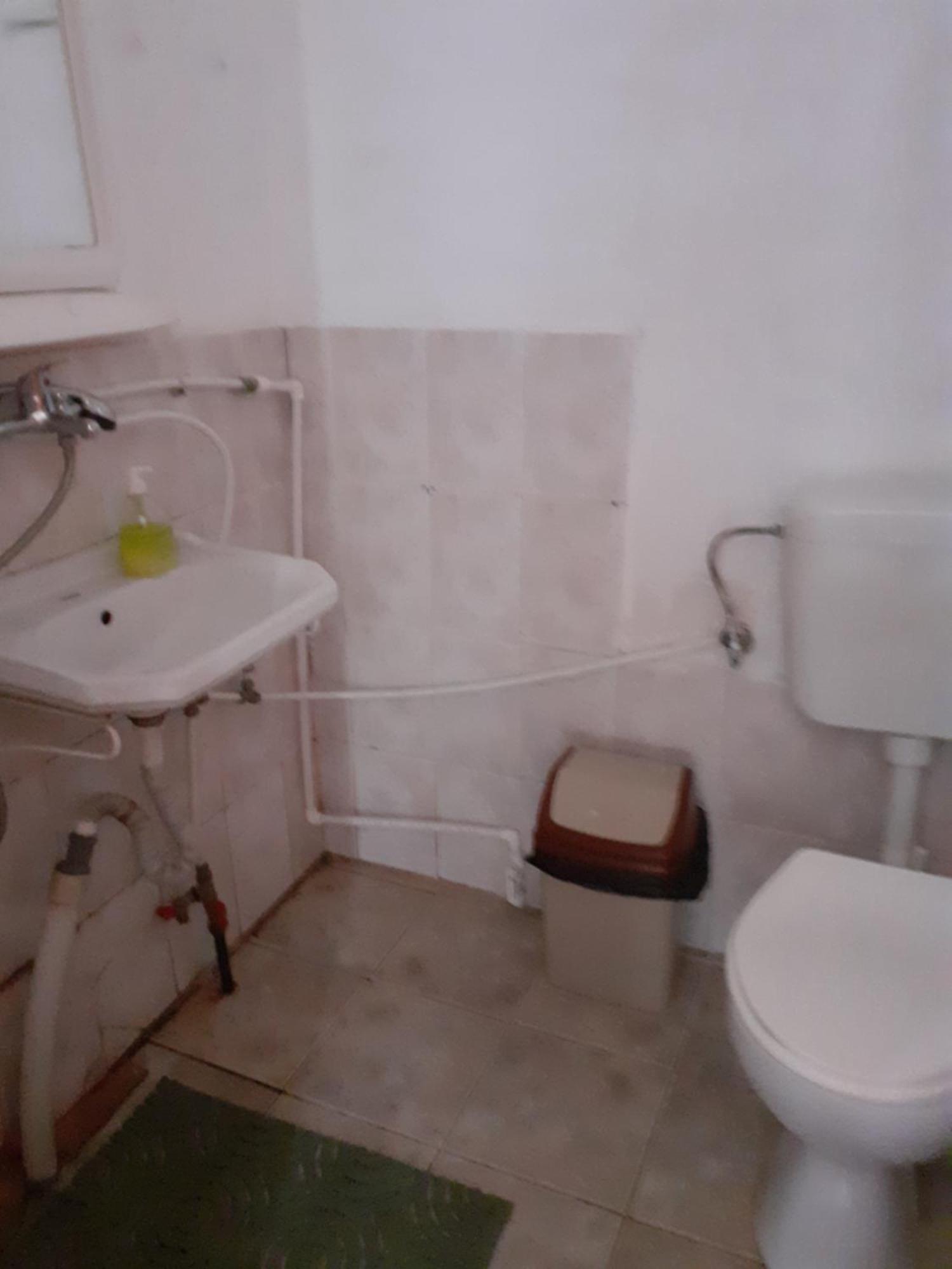Cabana Valea Stanciului Rachitele Exteriör bild