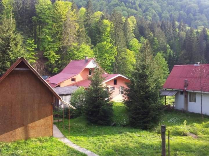 Cabana Valea Stanciului Rachitele Exteriör bild